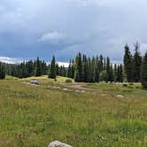 Review photo of Lizard Head Pass by Greg L., August 10, 2022