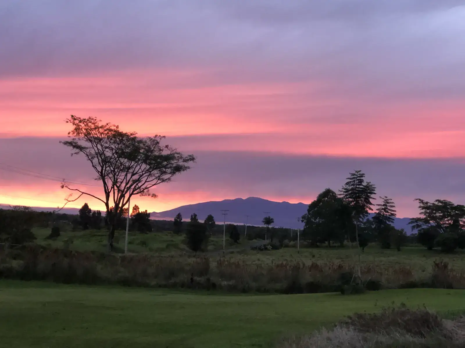 Camper-submitted photo at Moon Garden Farm Getaway near Hilo, HI