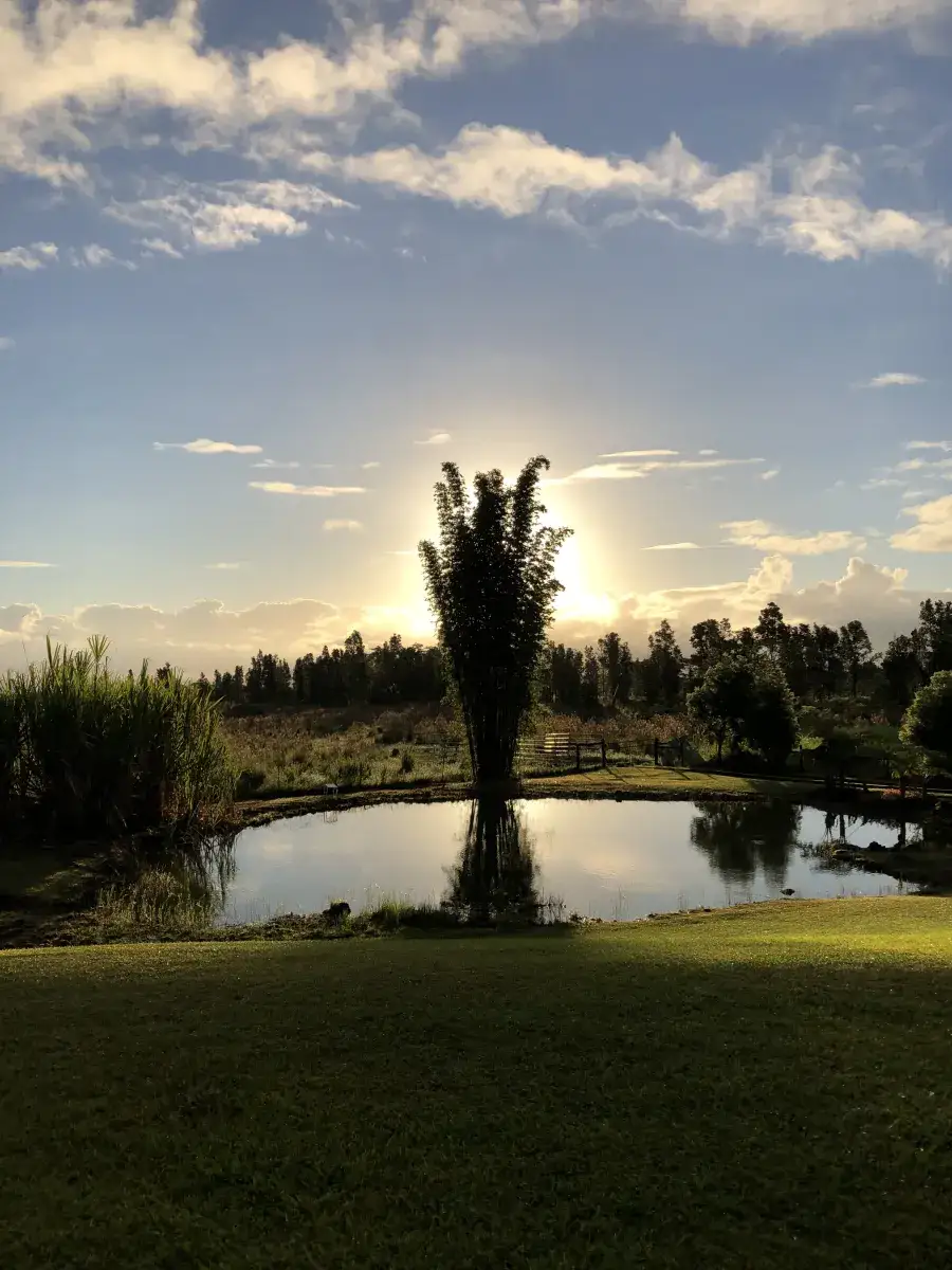 Camper-submitted photo at Moon Garden Farm Getaway near Hilo, HI