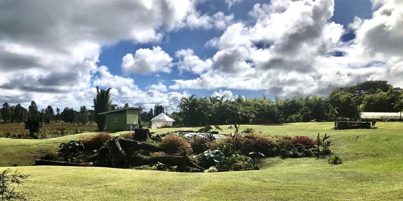 Camper submitted image from Moon Garden Farm Getaway