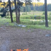 Review photo of Island Park Campground by mary F., August 10, 2022