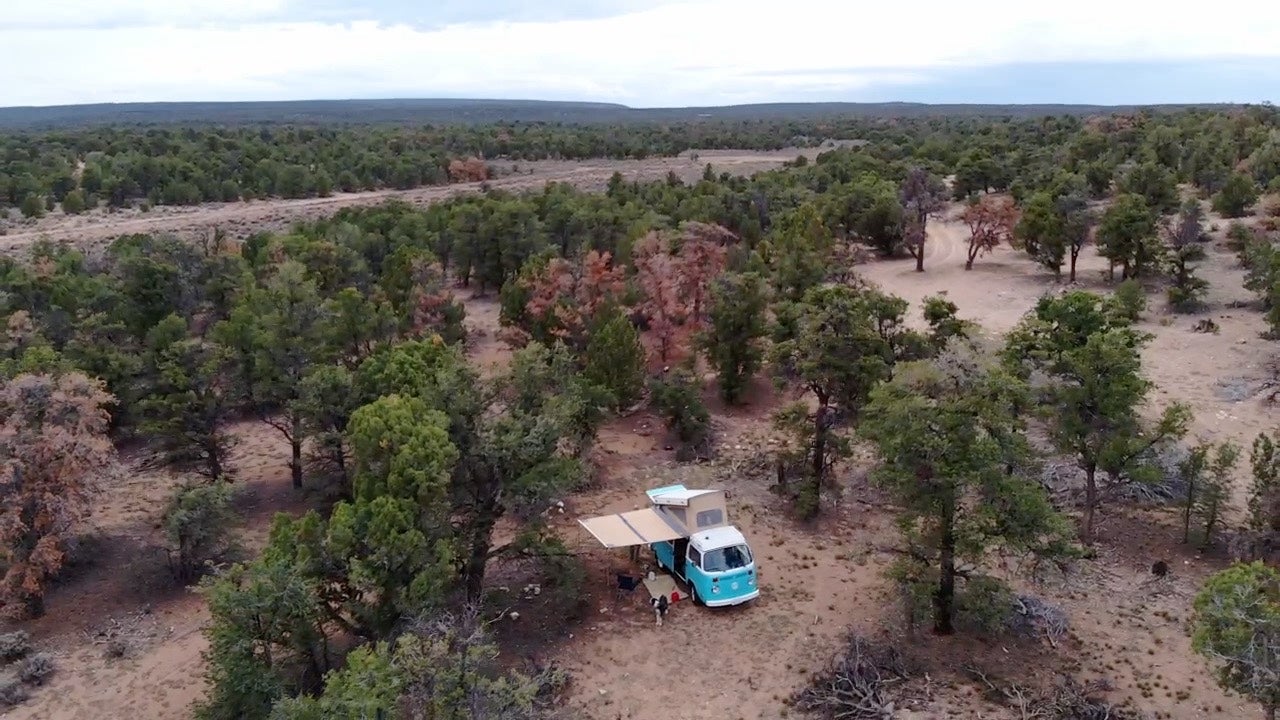 Camper submitted image from Kaibab Forest Dispersed FR 682  - 5