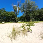 Review photo of Manistee National Forest Sand Lake Recreation Area by Ashley O., August 11, 2022