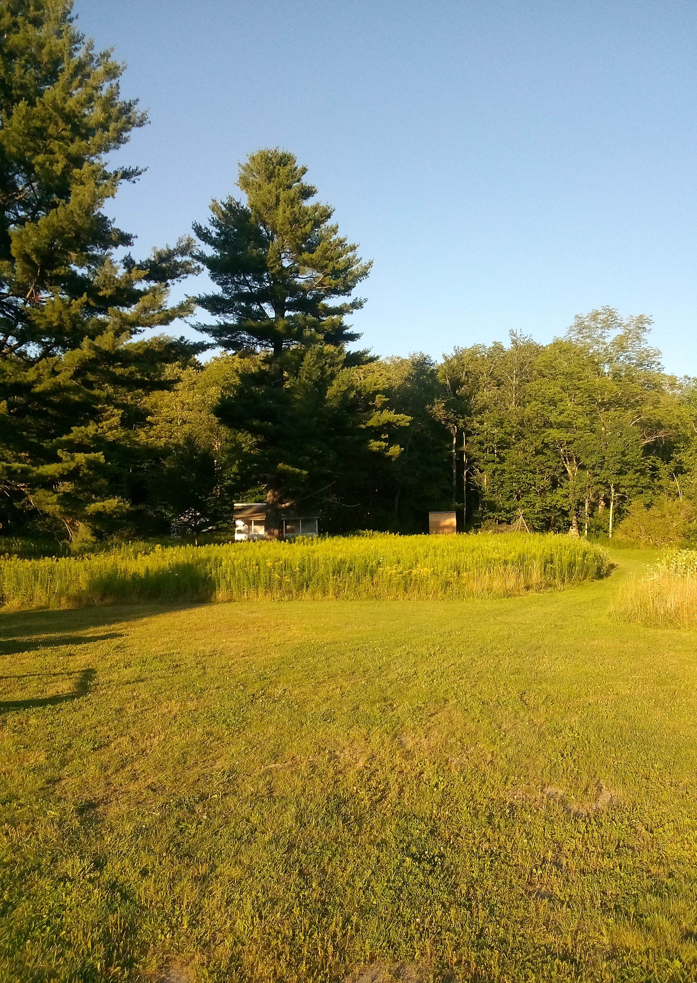 Camper-submitted photo at Gus's Gardens Camping near West Dover, VT
