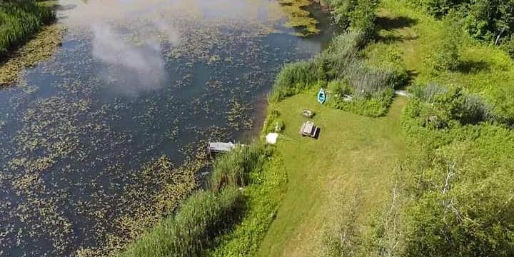 Camper submitted image from Gus's Gardens Camping