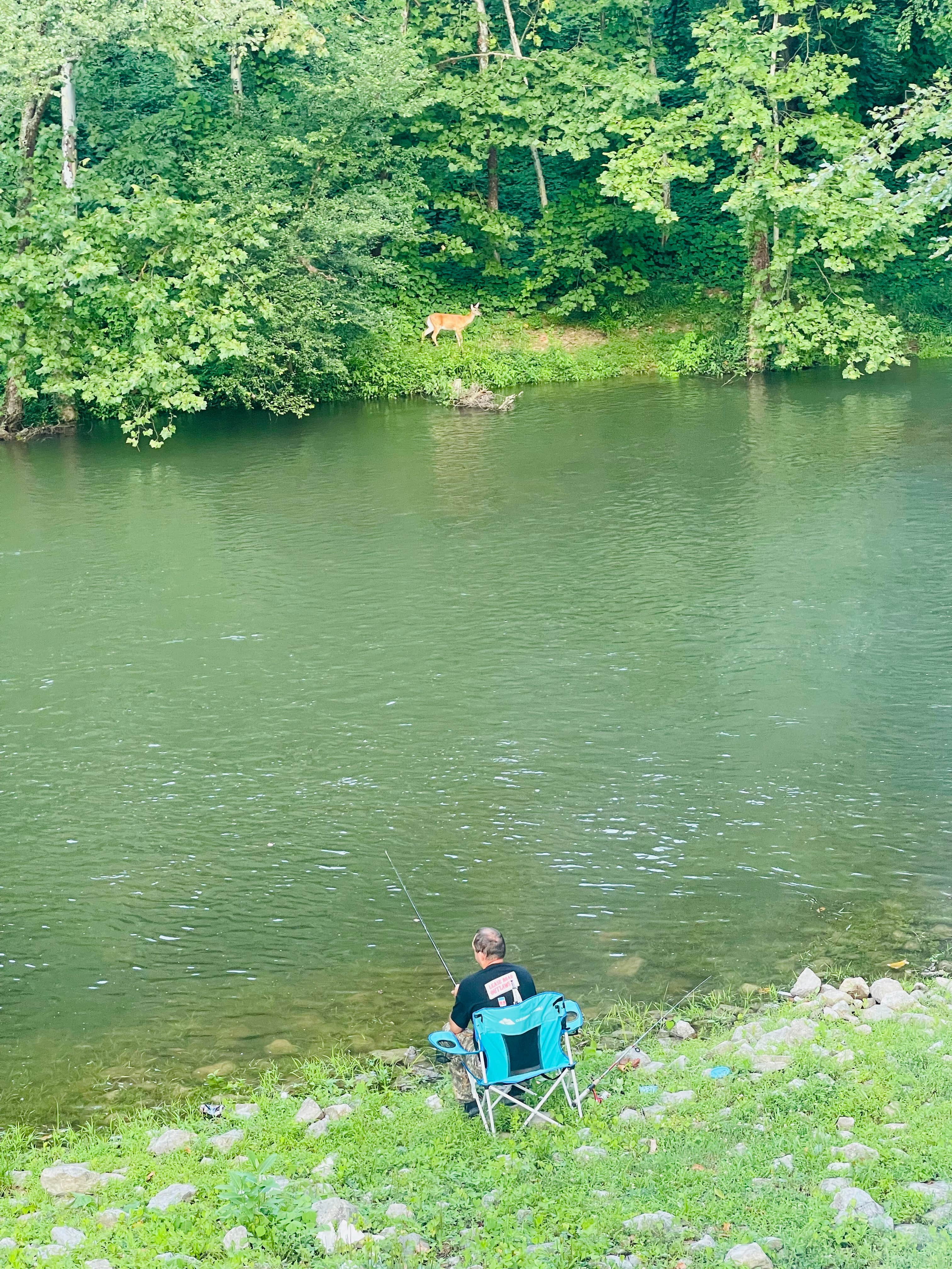 Camper-submitted photo at Buckhorn Dam Campground near Buckhorn Lake