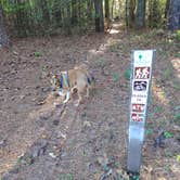 Review photo of Sedalia Campground by richardhoerz , August 11, 2022