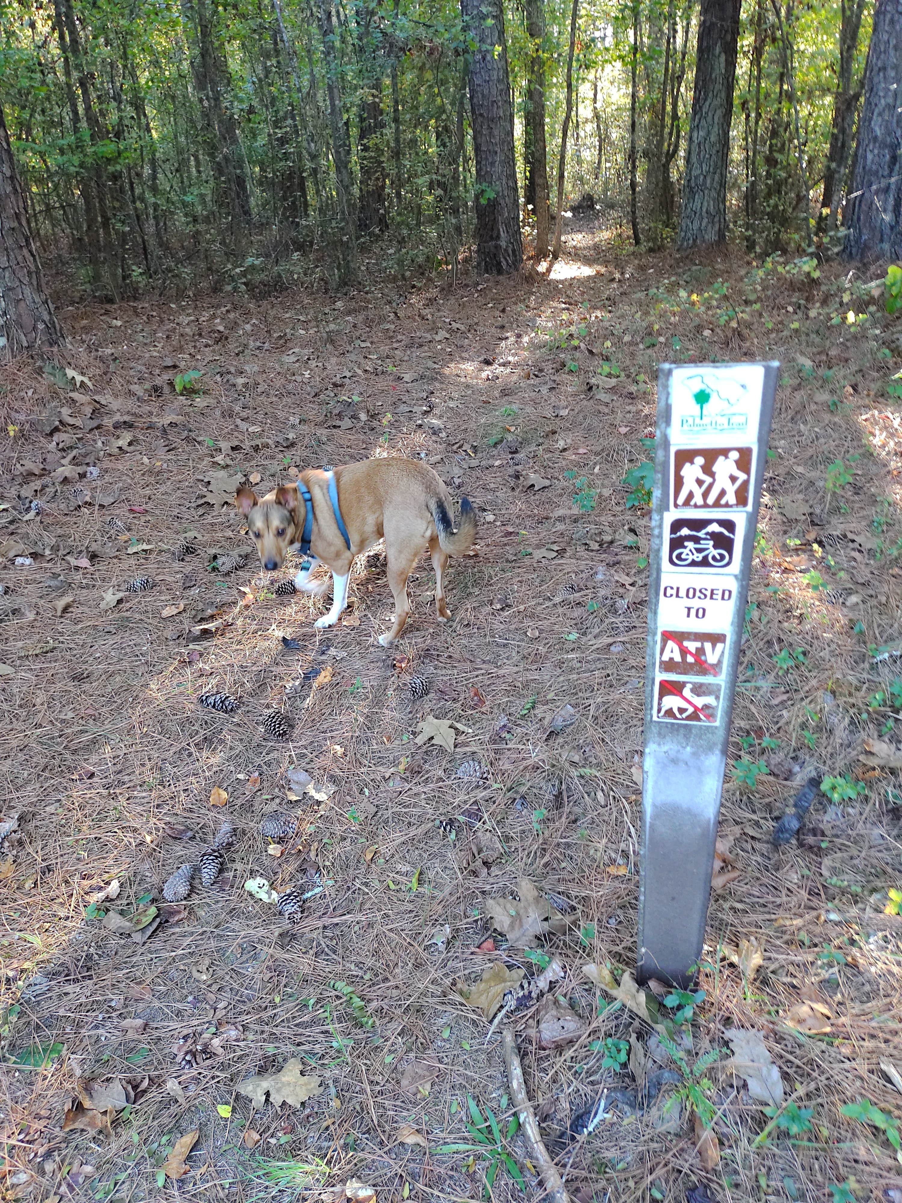 Camper submitted image from Sedalia Campground - 5