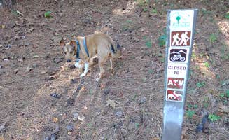 richardhoerz's photo of camping with pets at Sedalia Campground near Ninety Six, SC