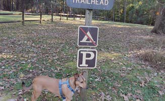 richardhoerz's photo of camping with pets at Sedalia Campground near Pauline, SC