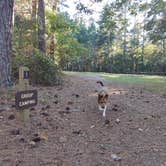 Review photo of Sedalia Campground by richardhoerz , August 11, 2022