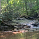 Review photo of Kentuck Campground — Ohiopyle State Park by Scott R., August 11, 2022