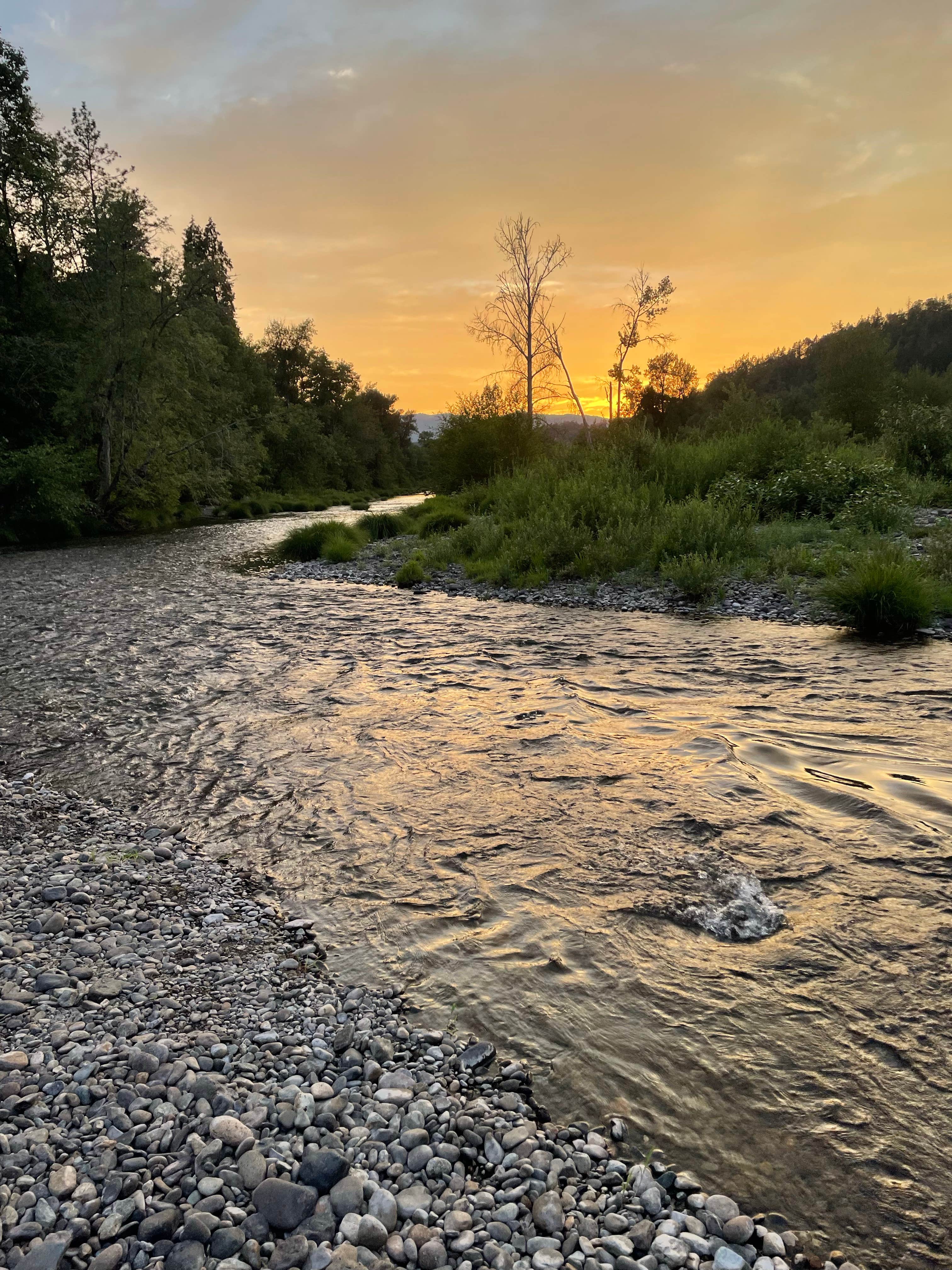 Camper submitted image from Charles V. Stanton County Park & Campground - 3