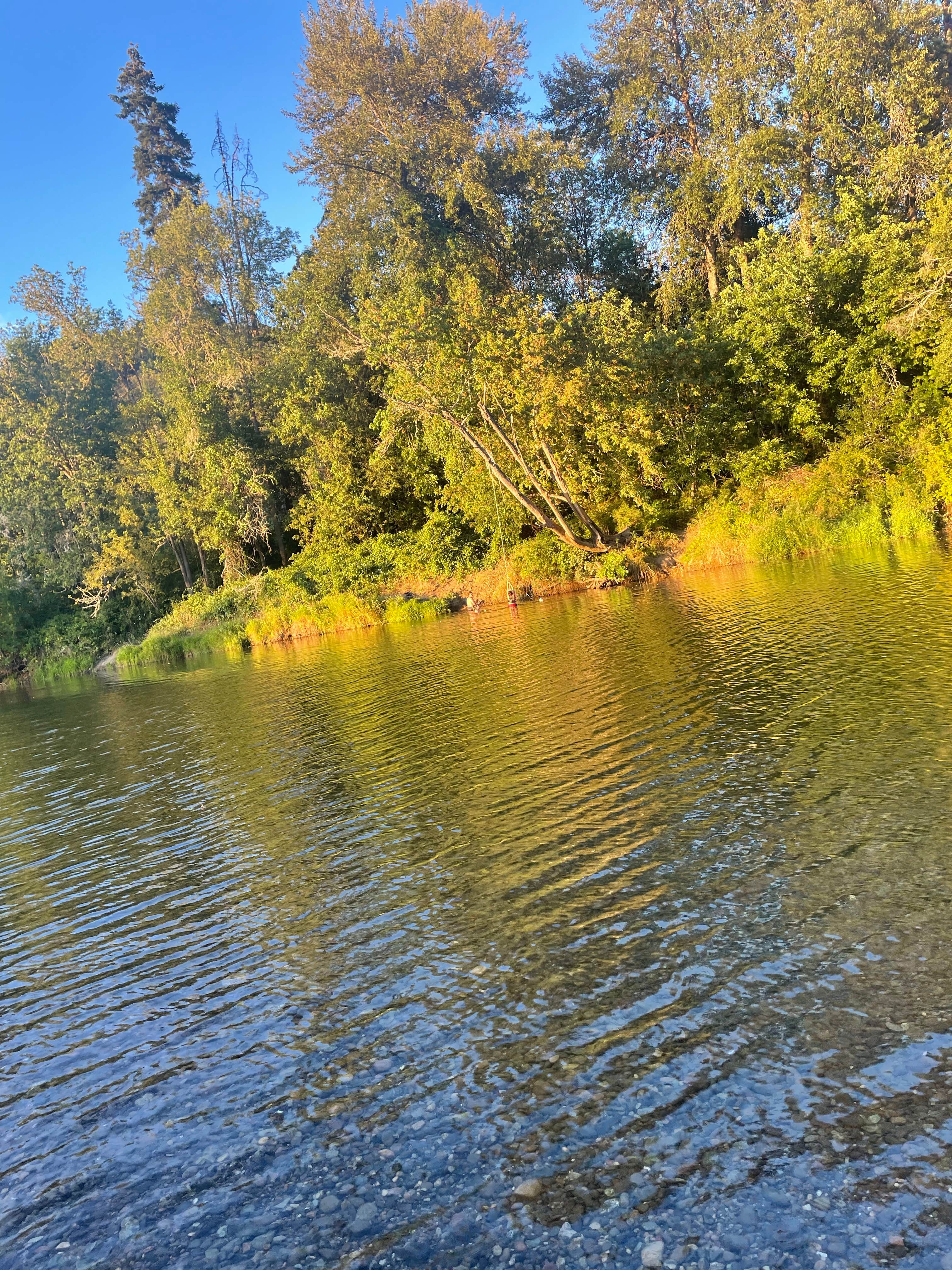 Camper-submitted photo at Charles V. Stanton County Park & Campground near Wolf Creek, OR