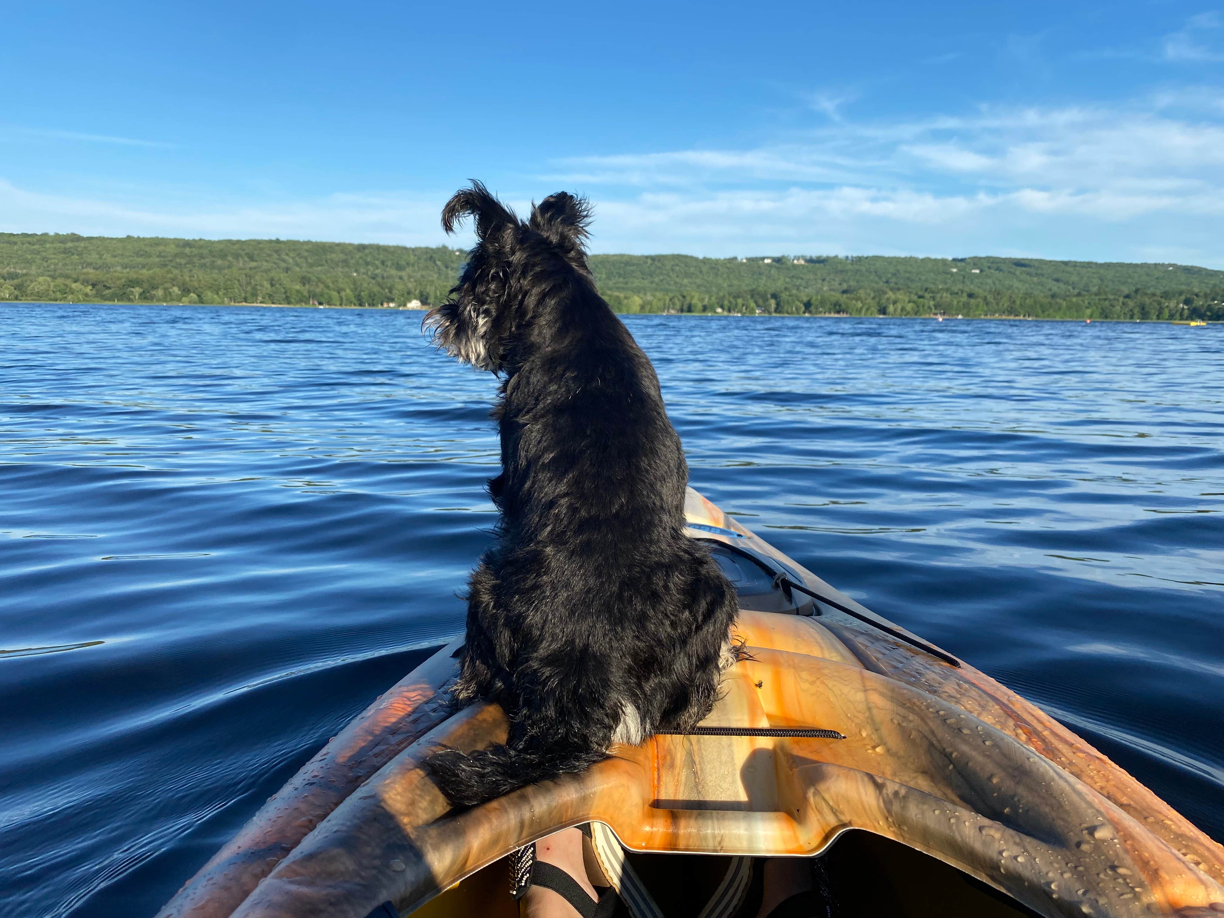 Camper-submitted photo at Sennebec Lake Campground near Alna, ME