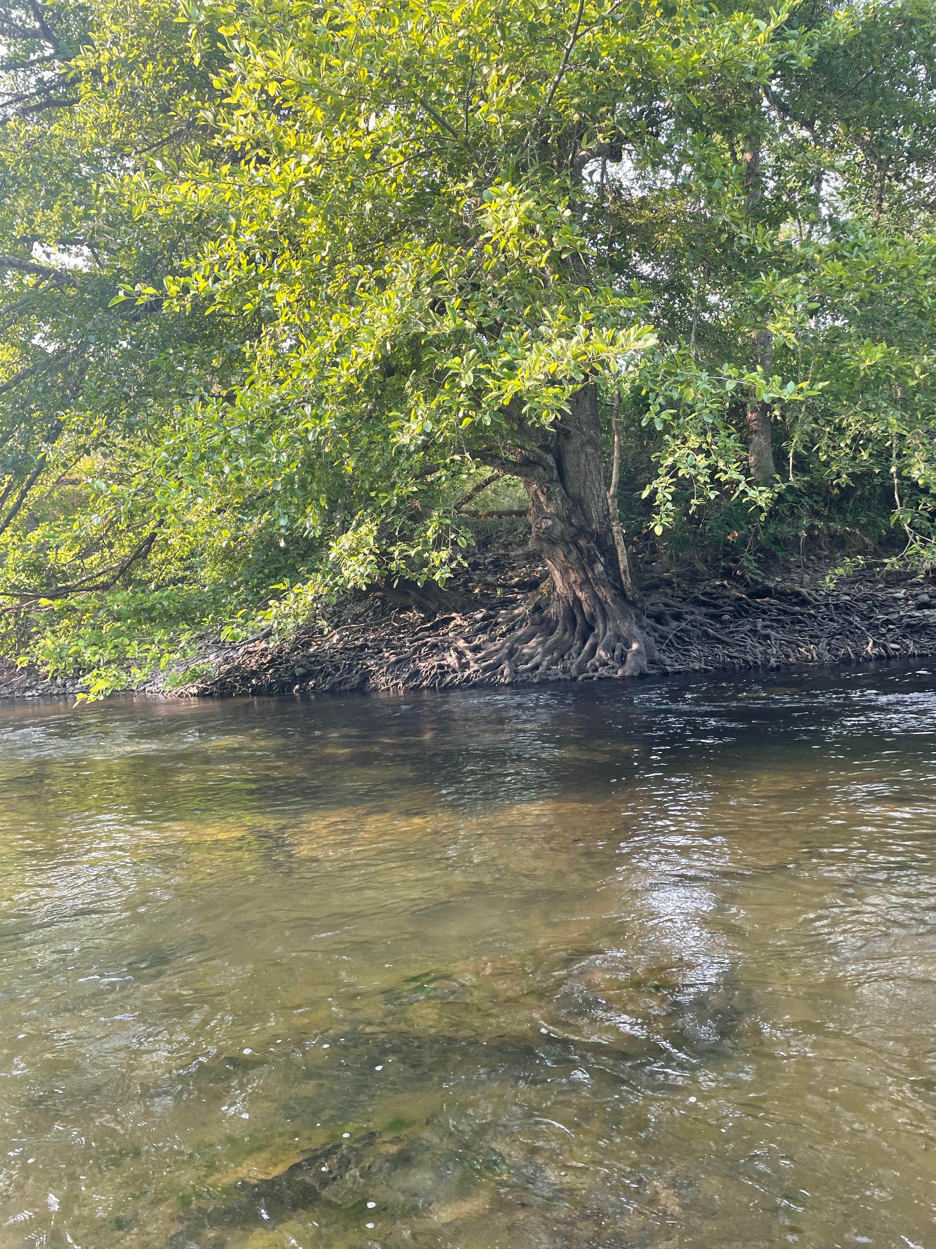 Camper-submitted photo at Charles V. Stanton County Park & Campground near Wolf Creek, OR
