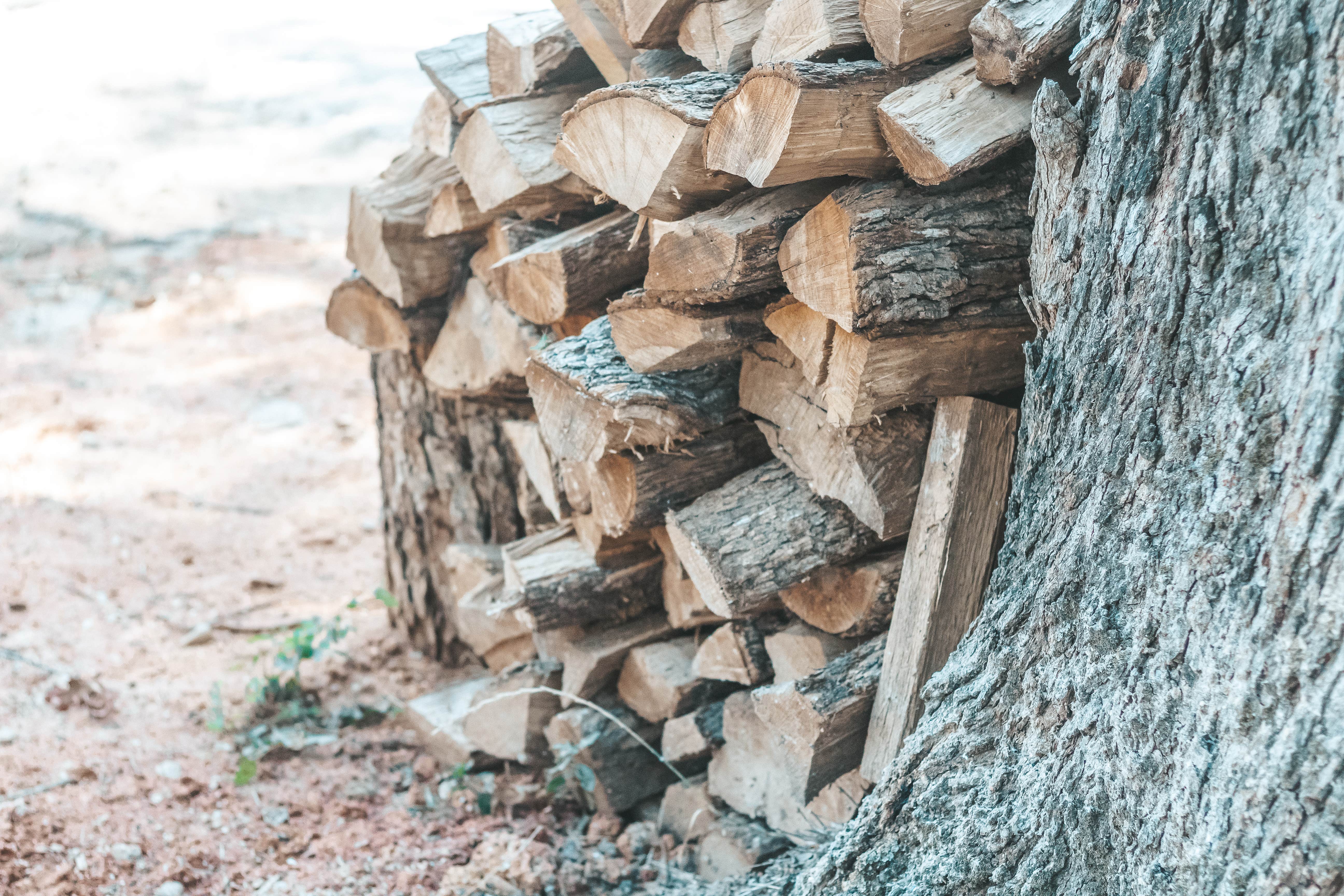 Camper-submitted photo at Blue Sky Cedar Creek RV Park near Mabank, TX