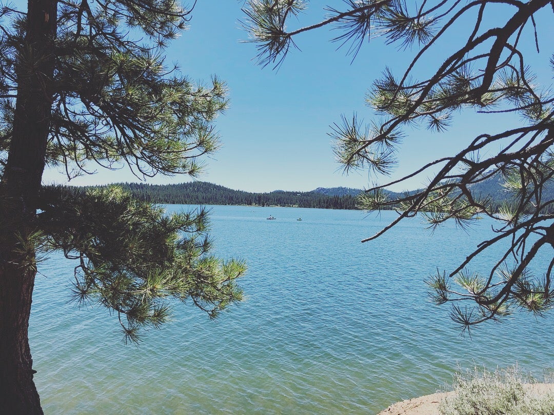 Lake Davis