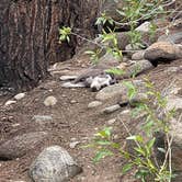 Review photo of Turtle Rock Campground by Cameron B., August 11, 2022