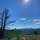 Review photo of Wild Iris OK Corral by Sonny S., August 9, 2022