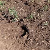 Review photo of Wild Iris OK Corral by Sonny S., August 9, 2022