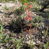 Review photo of Wild Iris OK Corral by Sonny S., August 9, 2022