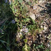 Review photo of Wild Iris OK Corral by Sonny S., August 9, 2022