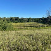 Review photo of Pokagon State Park by Katie M., August 11, 2022