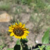 Review photo of South Shore Campground — Trinidad Lake State Park by Ilene R., August 11, 2022