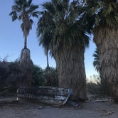 Review photo of Hole in the Wall Campground — Mojave National Preserve by Crystal C., July 23, 2018
