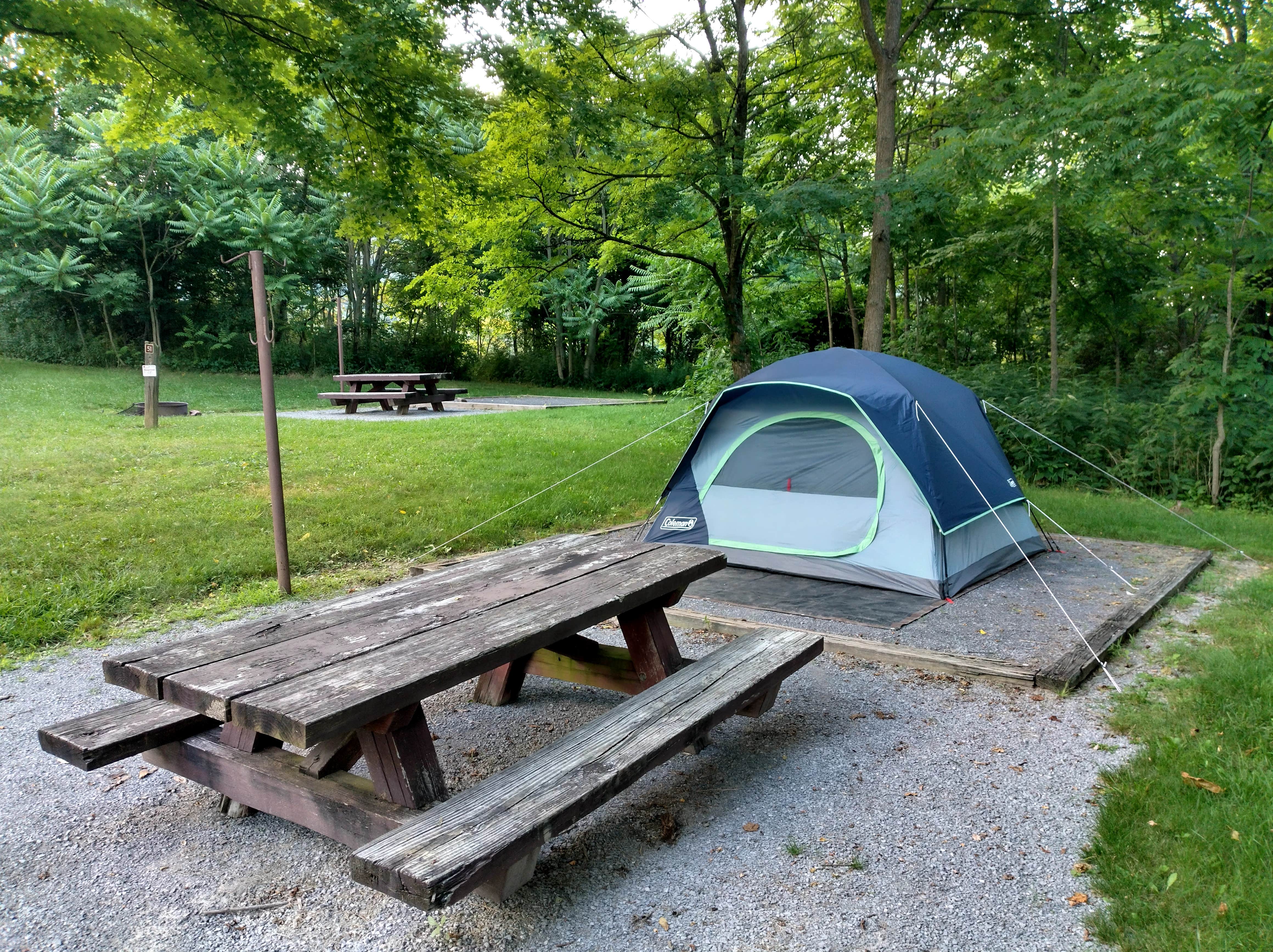 Alex M.'s photo at Seneca Shadows near Circleville, WV