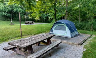 Alex M.'s photo at Seneca Shadows near Upper Tract, WV