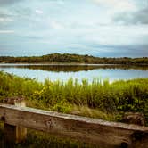 Review photo of Potato Creek State Park Campground by Meg  S., June 16, 2015