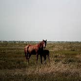 Review photo of Pony Express Trail includes: Boyd Station by Alan B., July 23, 2018