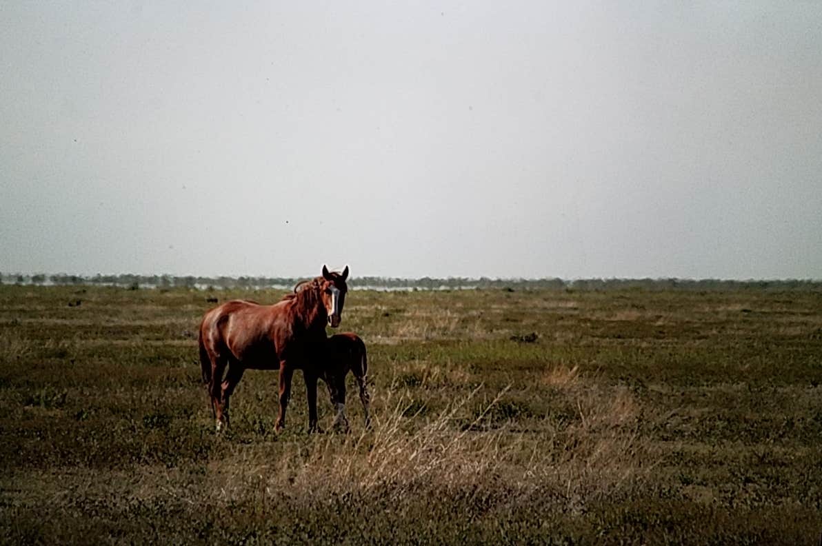 Camper submitted image from Pony Express Trail includes: Boyd Station - 5