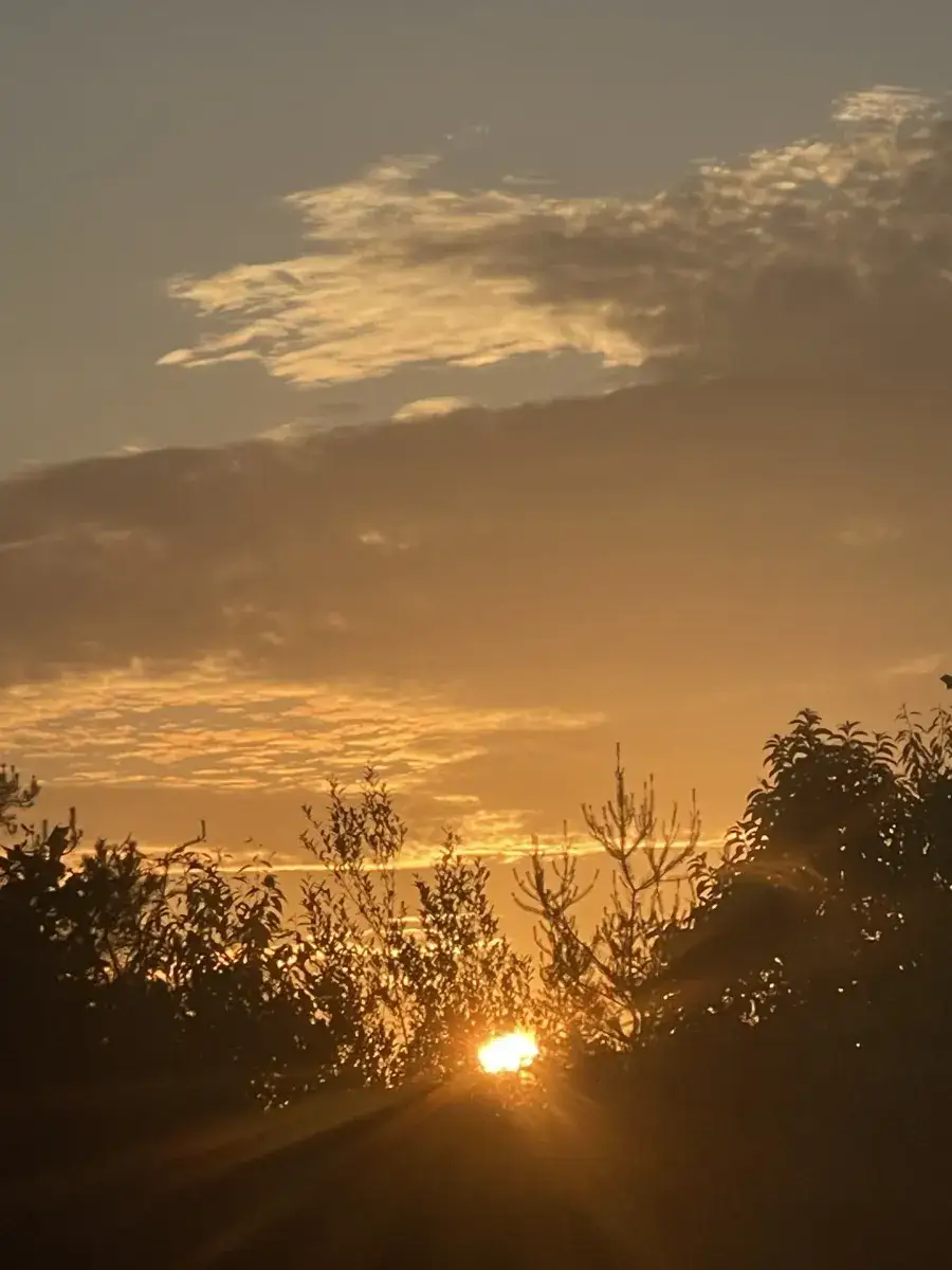 Camper-submitted photo at Backwoods Campground & Winery near Newport, OH