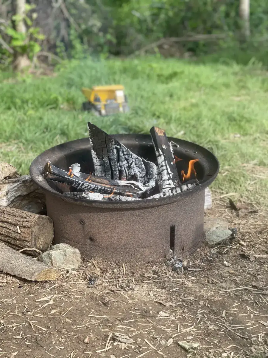 Camper-submitted photo at Backwoods Campground & Winery near Newport, OH