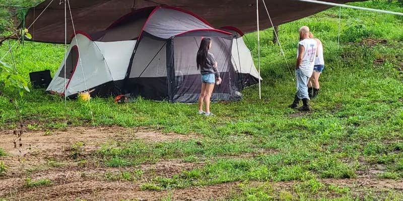 Camper submitted image from Backwoods Campground & Winery