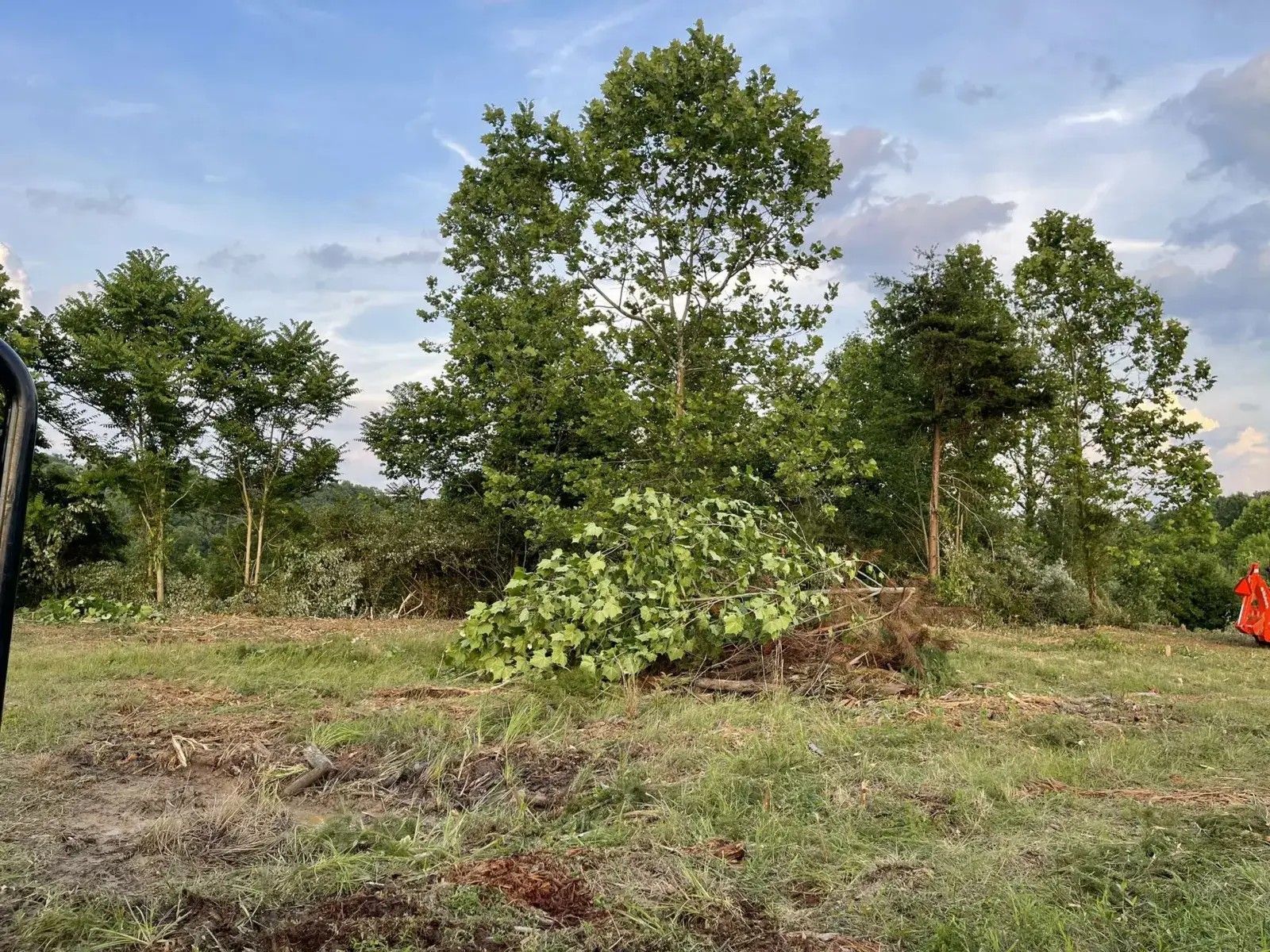 Camper-submitted photo at Backwoods Campground & Winery near Newport, OH