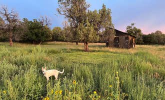 Camping near Oasis RV Resort and Cottages: Fourth Sister Farm, Bayfield, Colorado