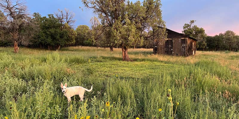 Camper submitted image from Fourth Sister Farm