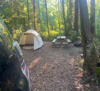 Camper-submitted photo from Fay Bainbridge Park