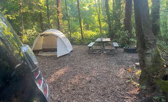 Lauren M.'s photo at Fay Bainbridge Park near Vashon, WA