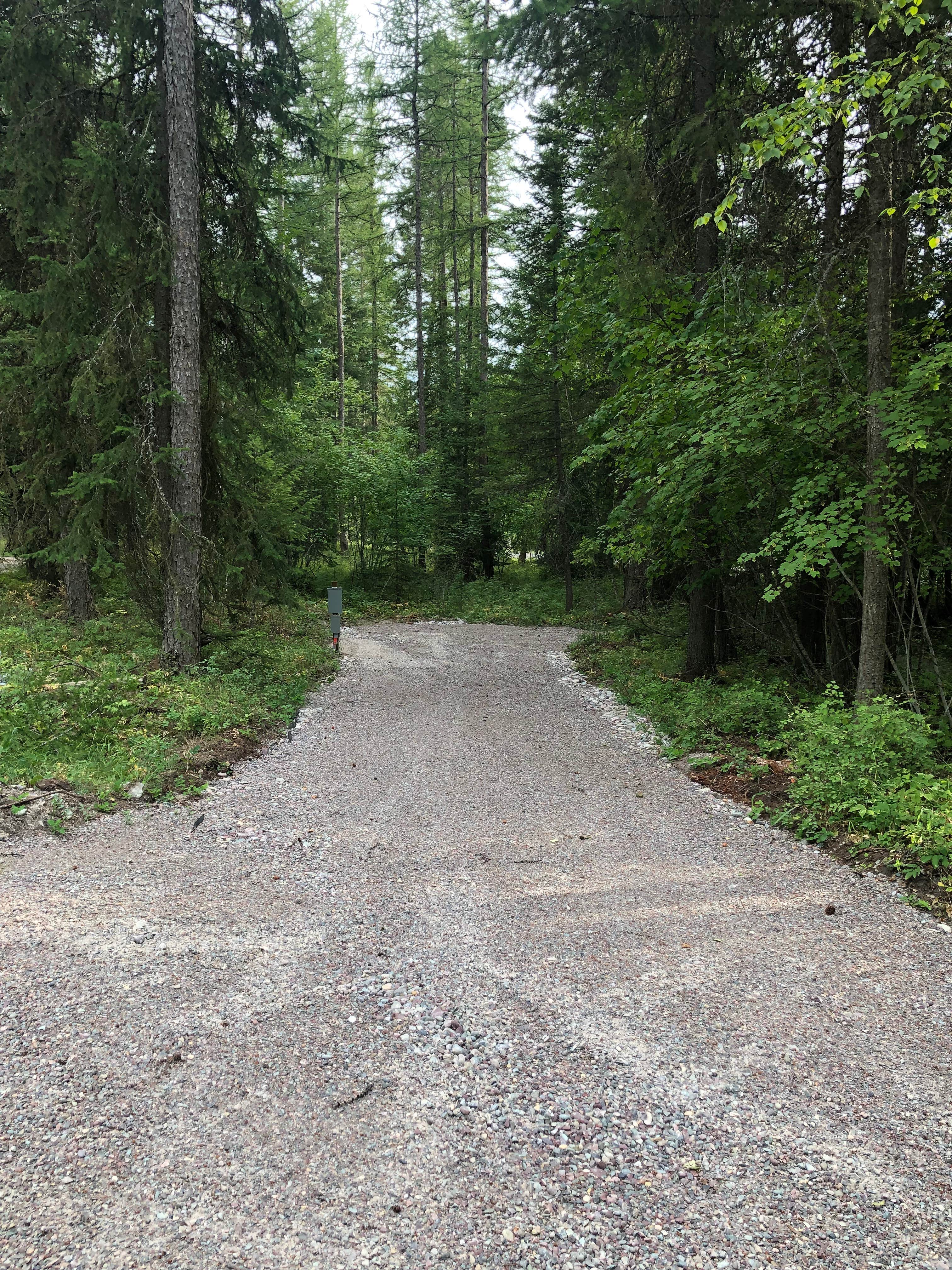 Camper-submitted photo at Clyde’s Camp near Siyeh Bend, MT