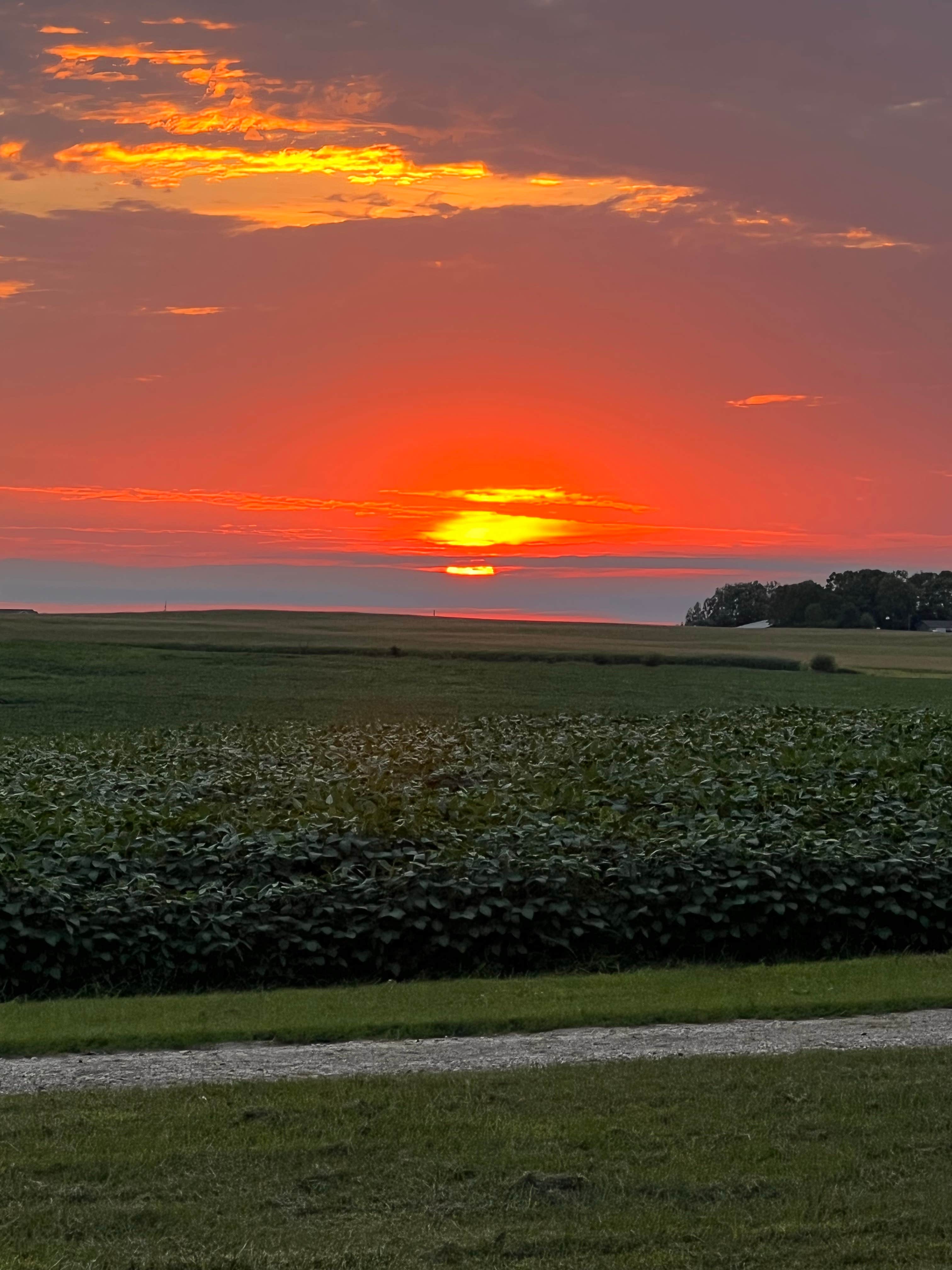 Camping near Kilen Woods State Park Campground: Vicks Corner, Spirit Lake, Iowa