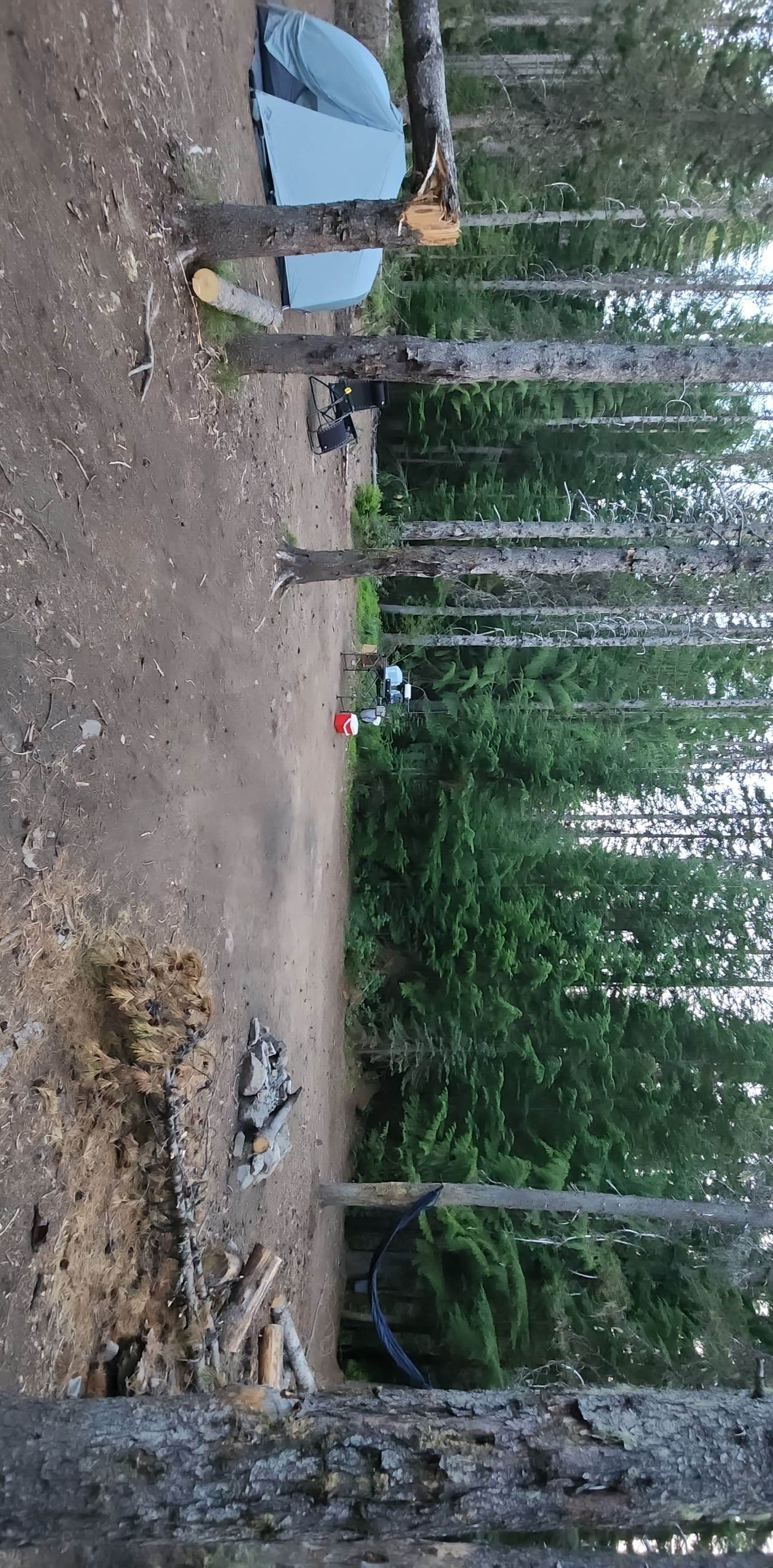 Camper submitted image from Summit Meadows Airstrip - 2