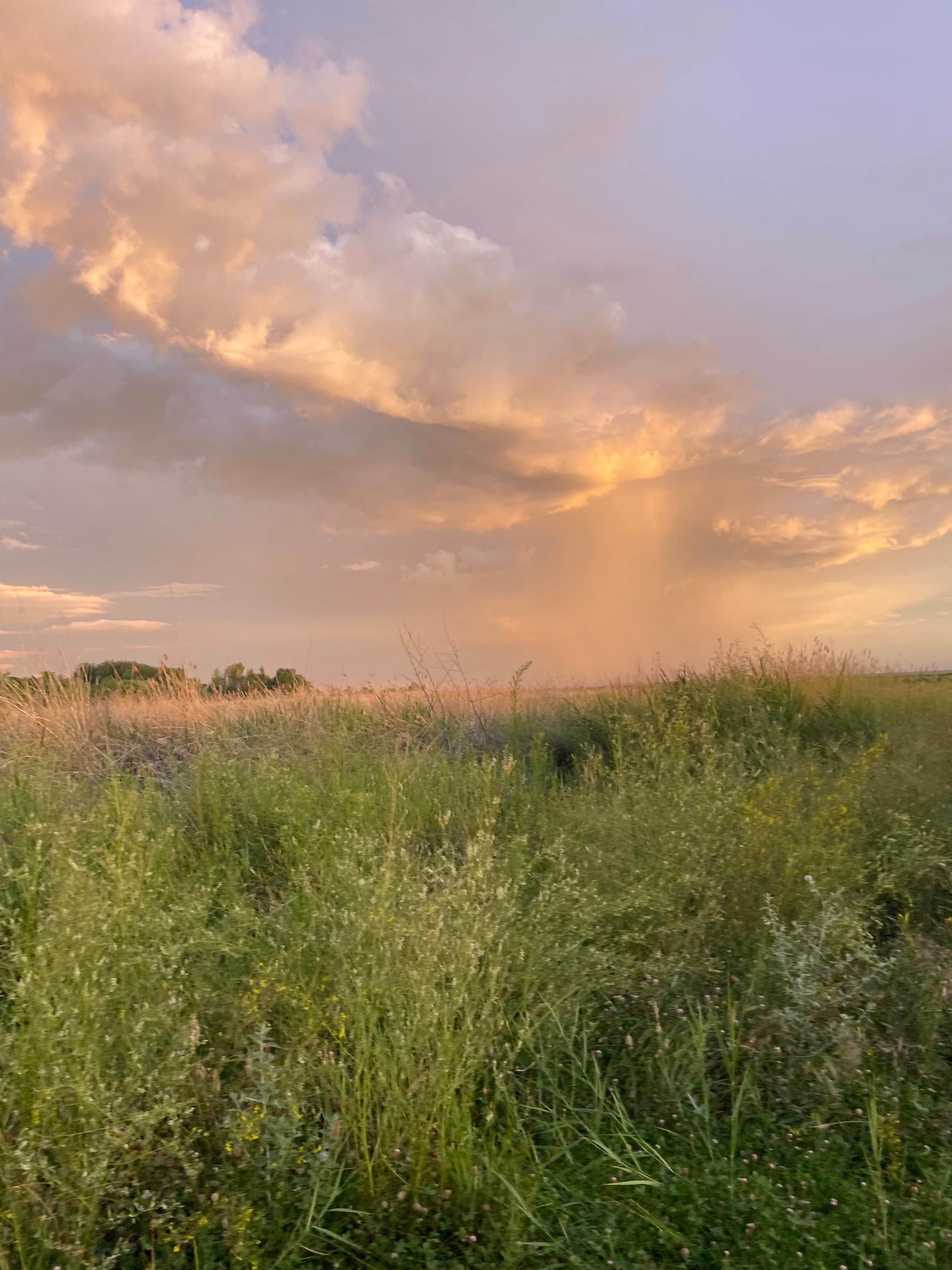 Camper-submitted photo at Willow Creek Campground — Willard Bay State Park near Howell, UT