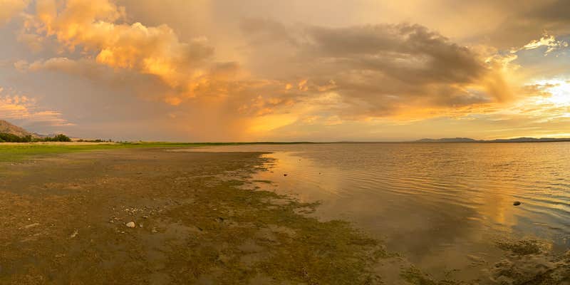 Camper submitted image from Willow Creek Campground — Willard Bay State Park