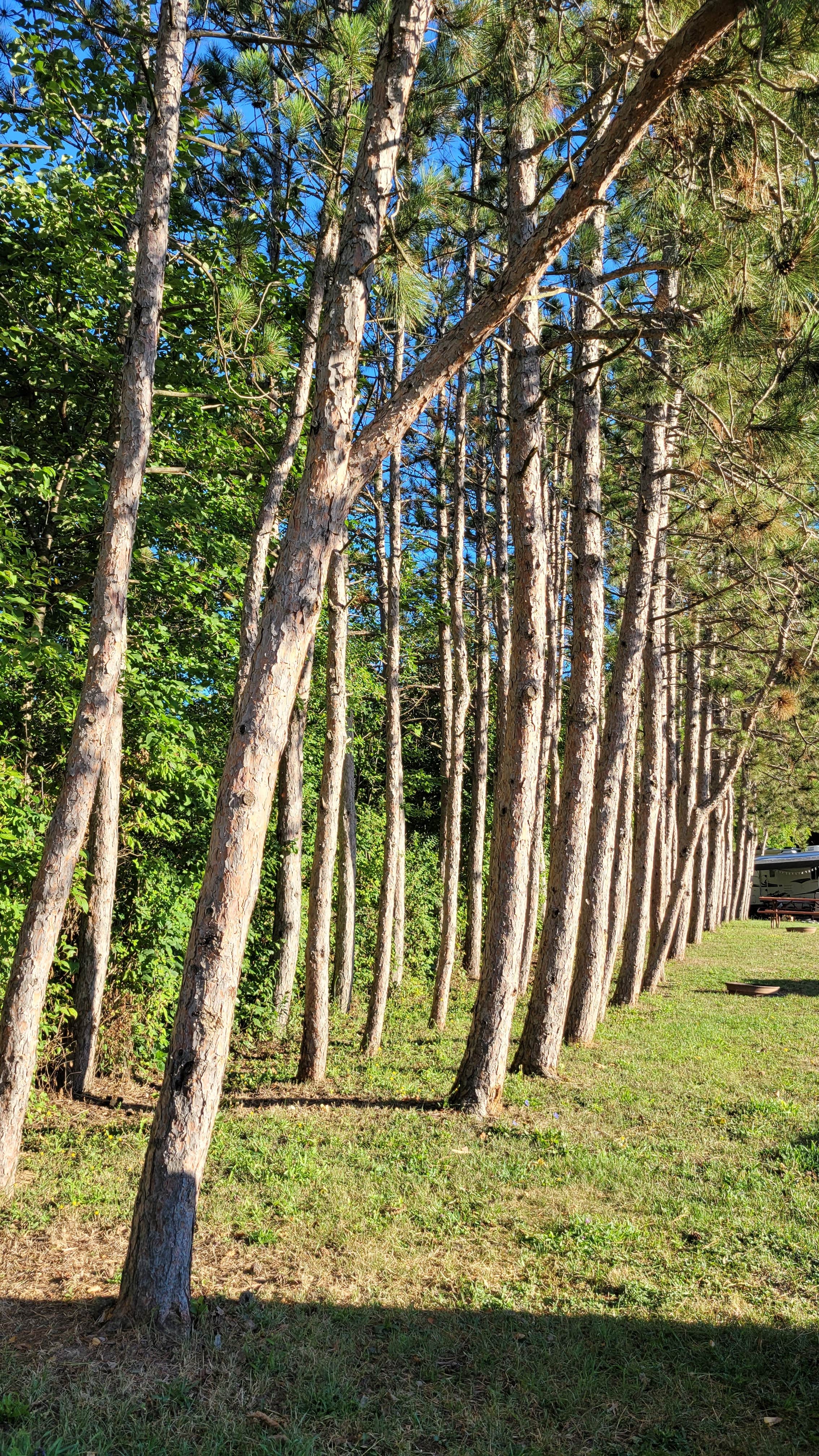 Camper-submitted photo at Canandaigua-Rochester KOA near Williamson, NY