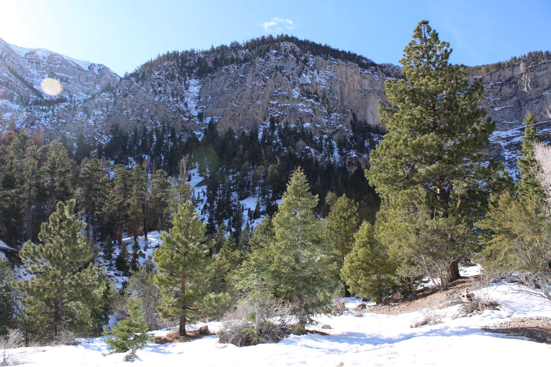 The Snow Views In This area are AMAZING